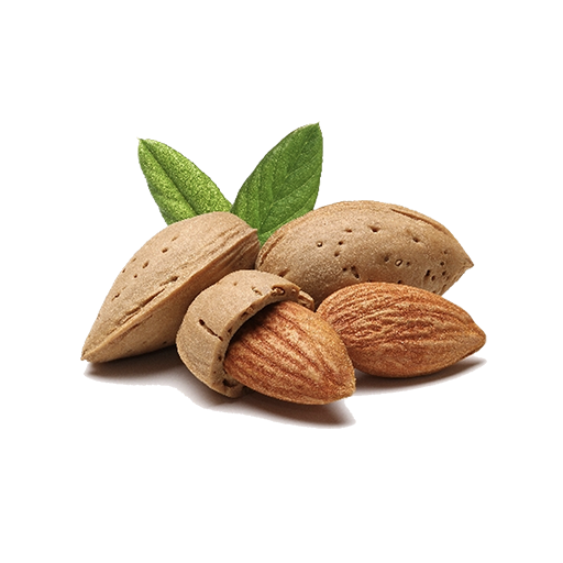 Almonds
